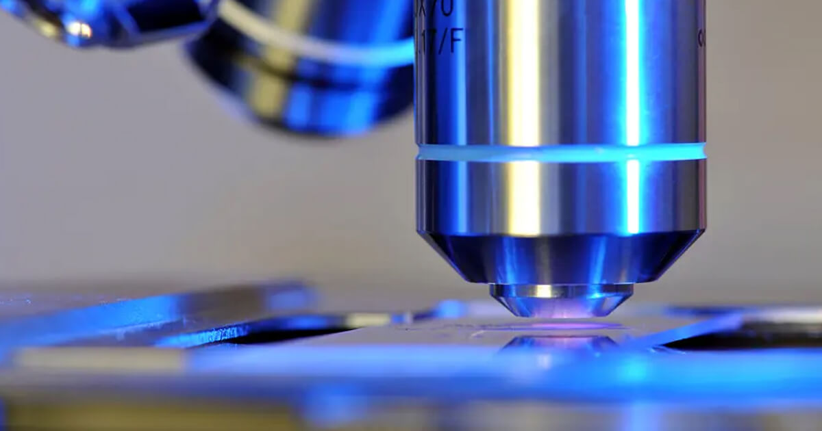 cancer research 2024