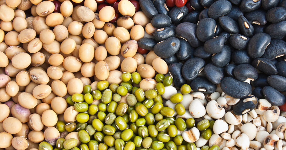 lifestyle medicine