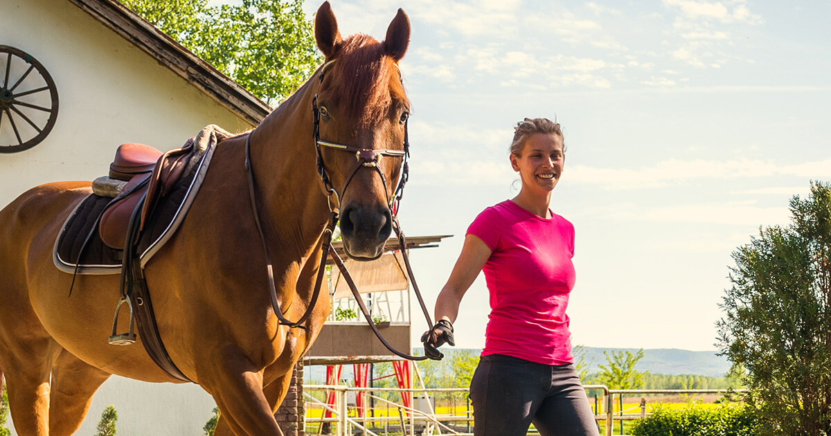 woman fighting ticks riding horse