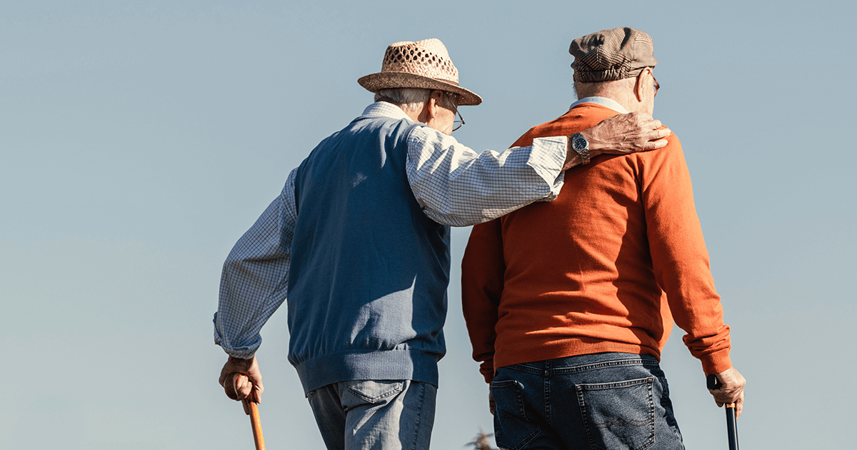 Dementia Risk and Prevention